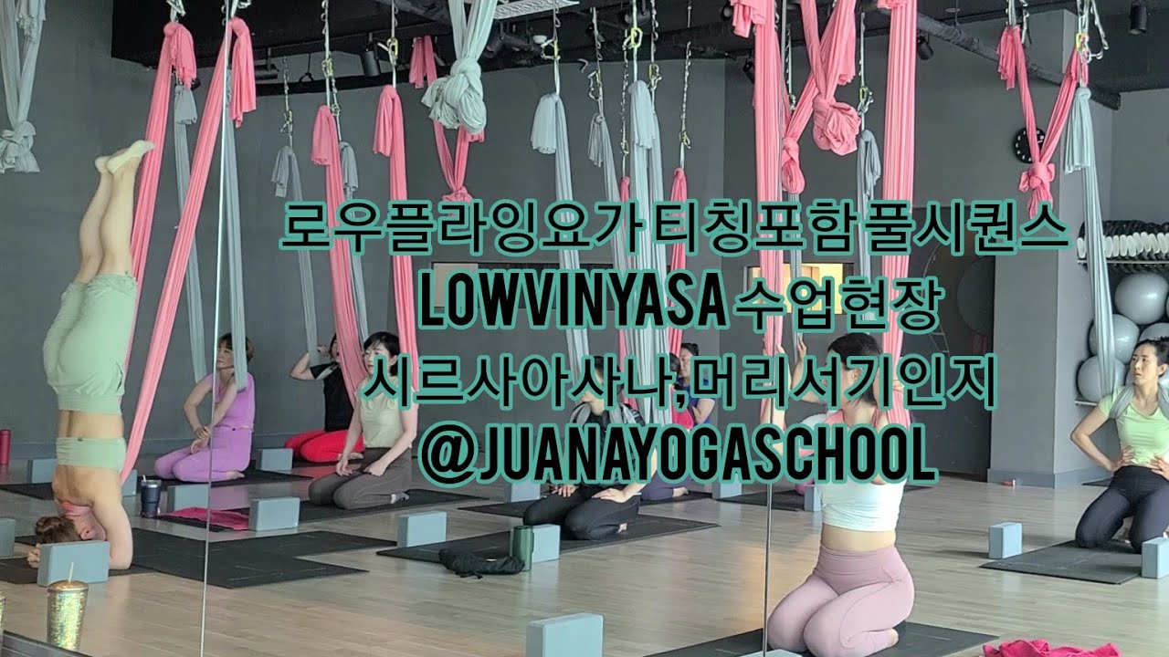 로우플라잉요가 티칭포함 풀시퀀스 lowvinyasa 시르사아사나,머리서기인지 [주아나요가스쿨로우빈야사](flyingyoga,aerialyoga,juanayogaschool)