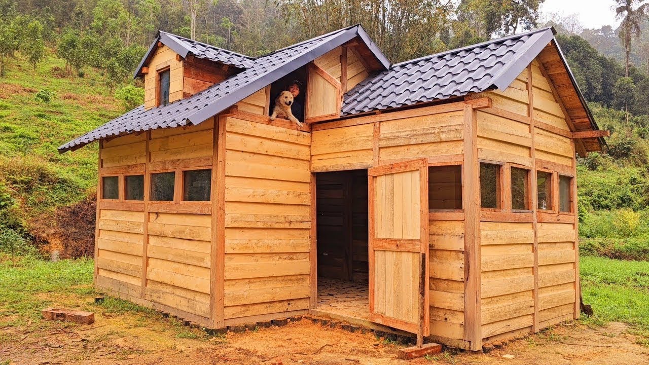 The young man left the city and returned to his hometown to build a farm | built a kitchen inside.