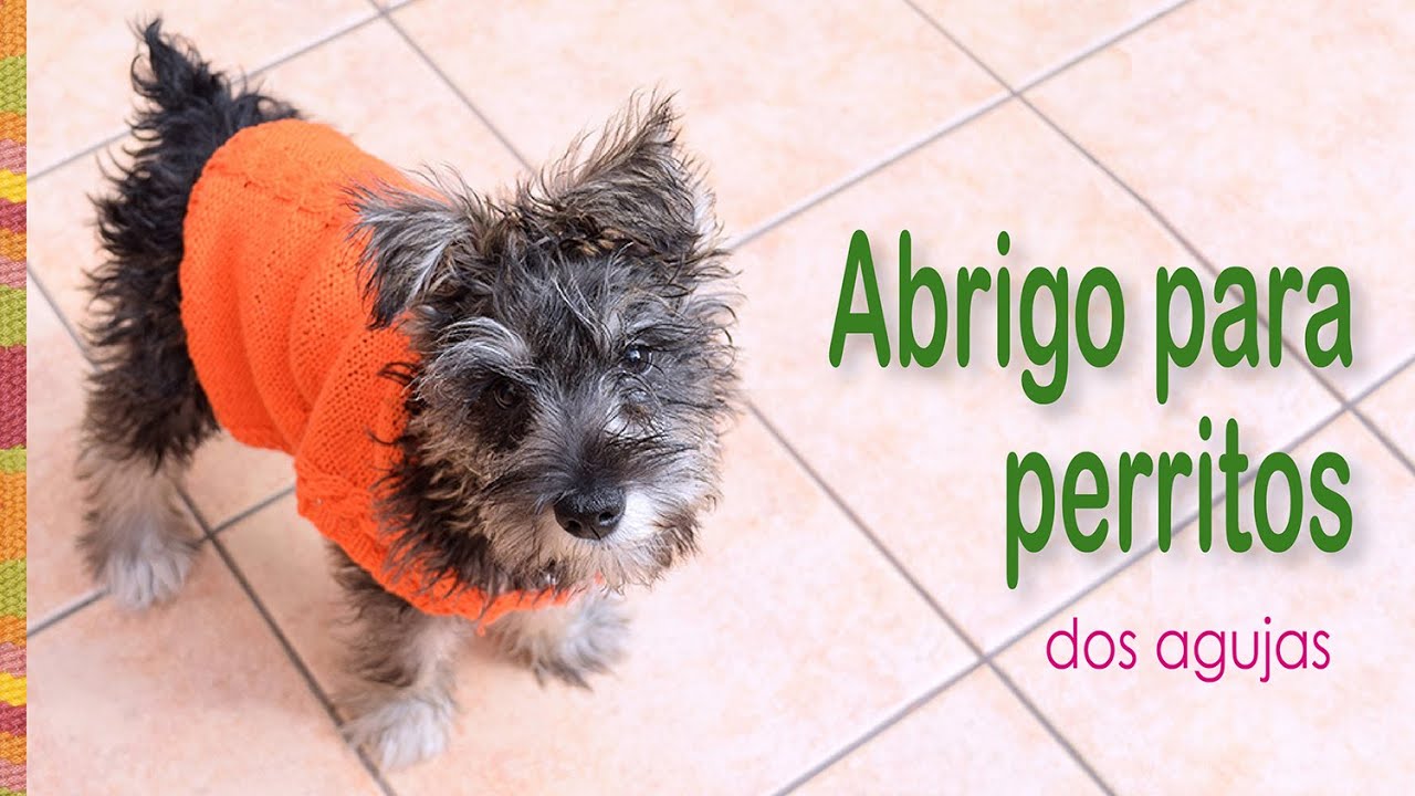 Abrigos para perritos tejidos en dos agujas en dos tallas!