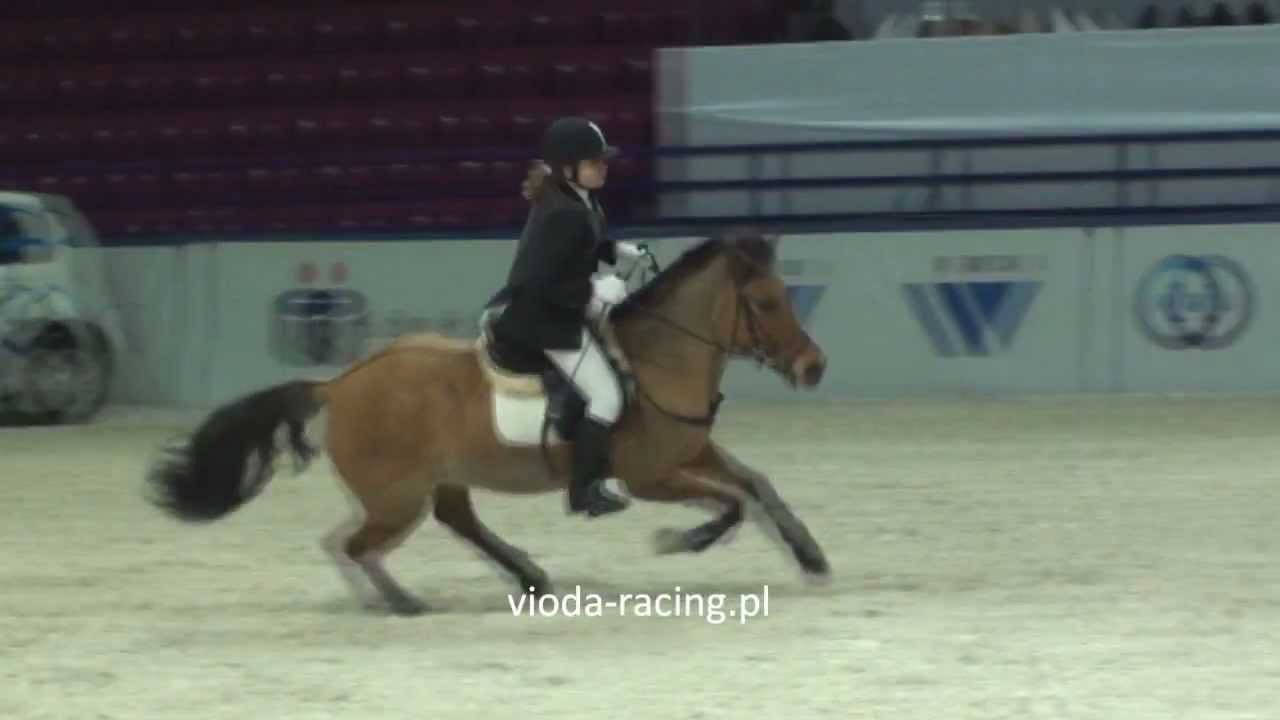 Karolina Paprocka i Tornado / Hanna Pogodzińska i Silvertops Ass - Cavaliada Future , Warszawa,