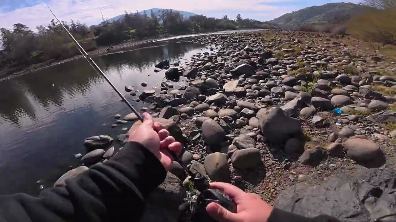 Little Stock Trout @KingsRiverDam