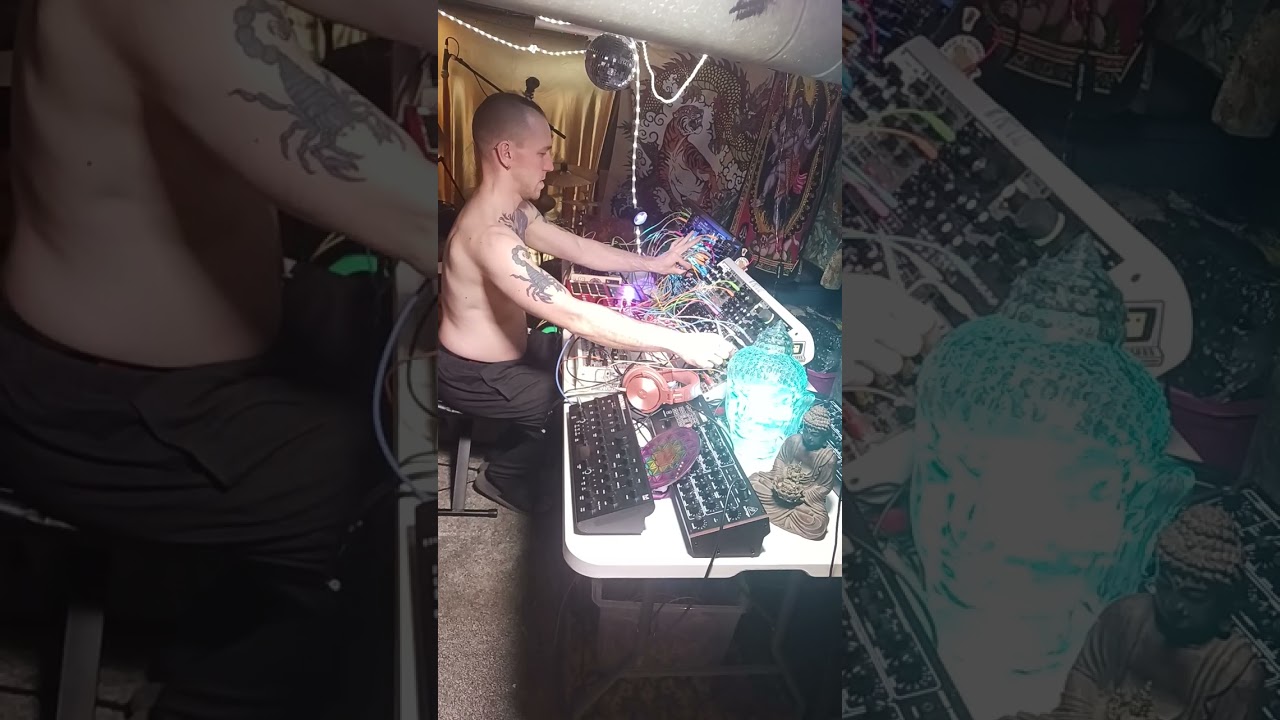 WITHOUT WORDS #eurorack #melodic #synth #composition #live #sounddesign #improvisation #meditation