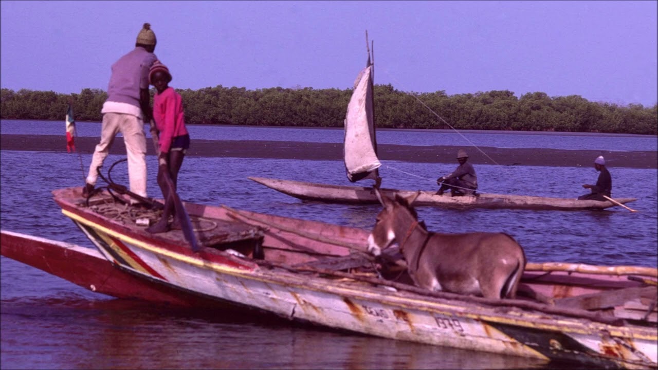 PM N° 122  Au Sénégal dans les années 70 80  7  Missira et l'Ile aux oiseaux