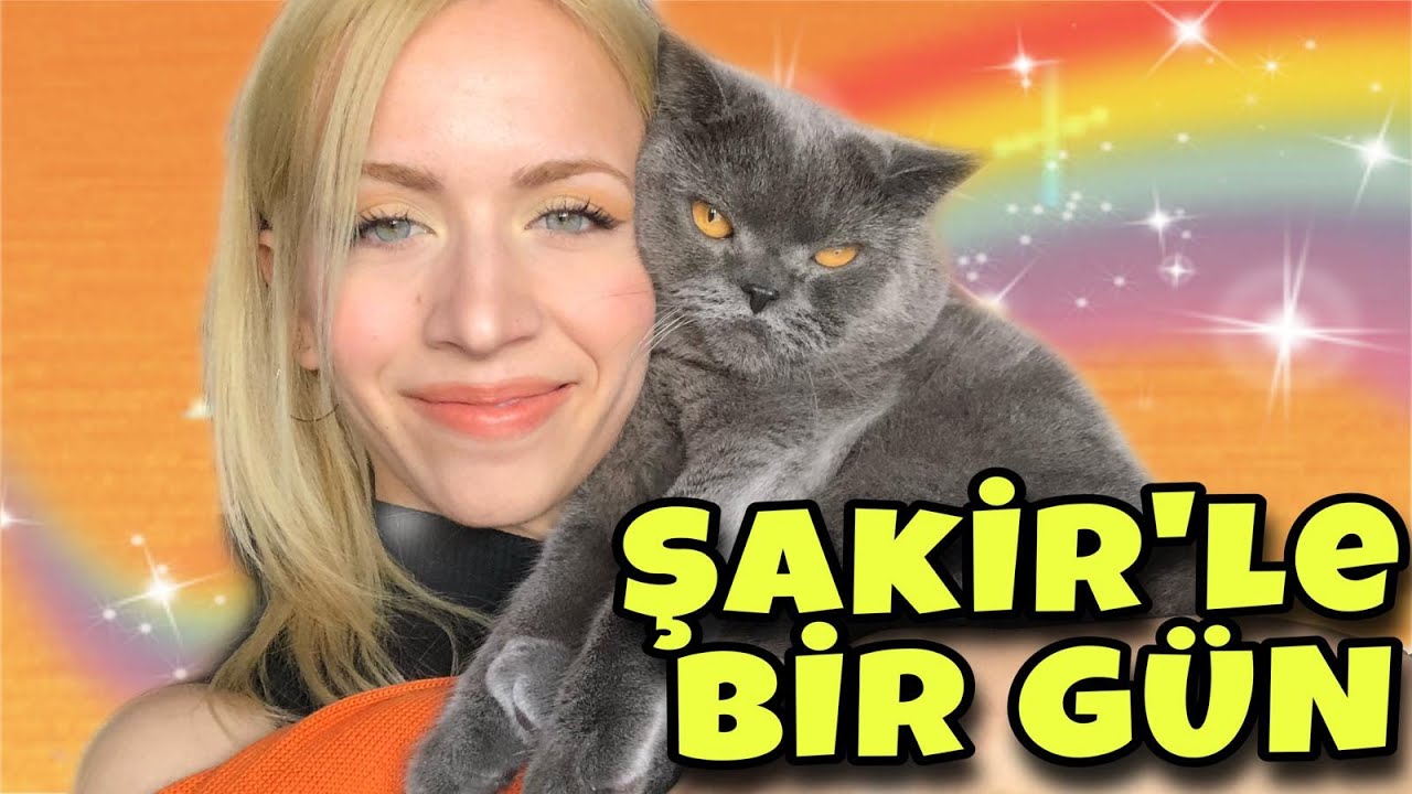 Şakir'le Bir Gün Nasıl Geçiyor? Kedimle Bir Günüm | Kedim Konuşuyor | Kedi Videoları | Cat Videos
