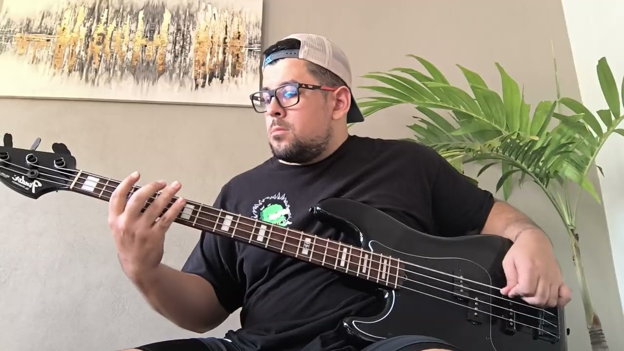 Welcome to the Jungle bass / Bajo Fender Delux black Duff Mckagan. 