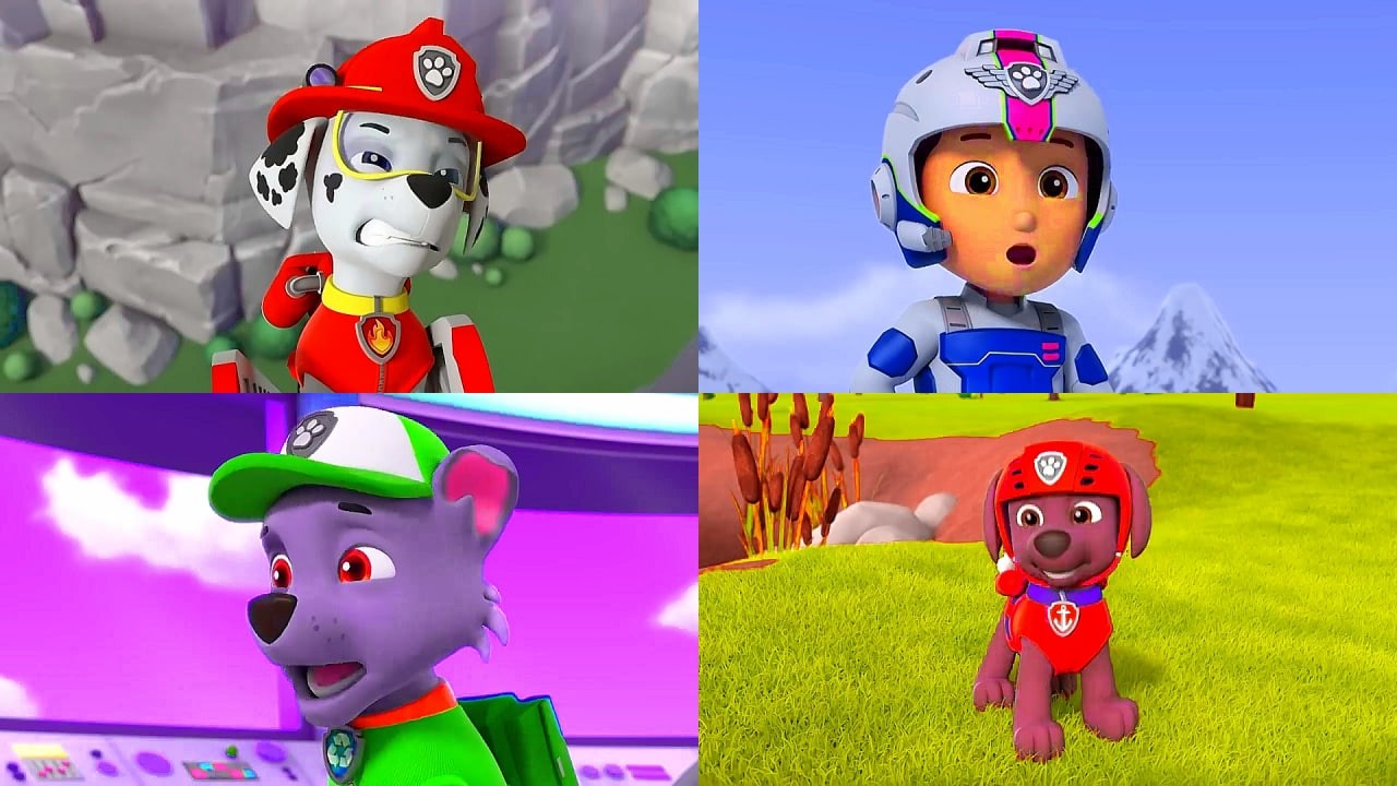 PAW Patrol - Coffin Dance Song (Cover)