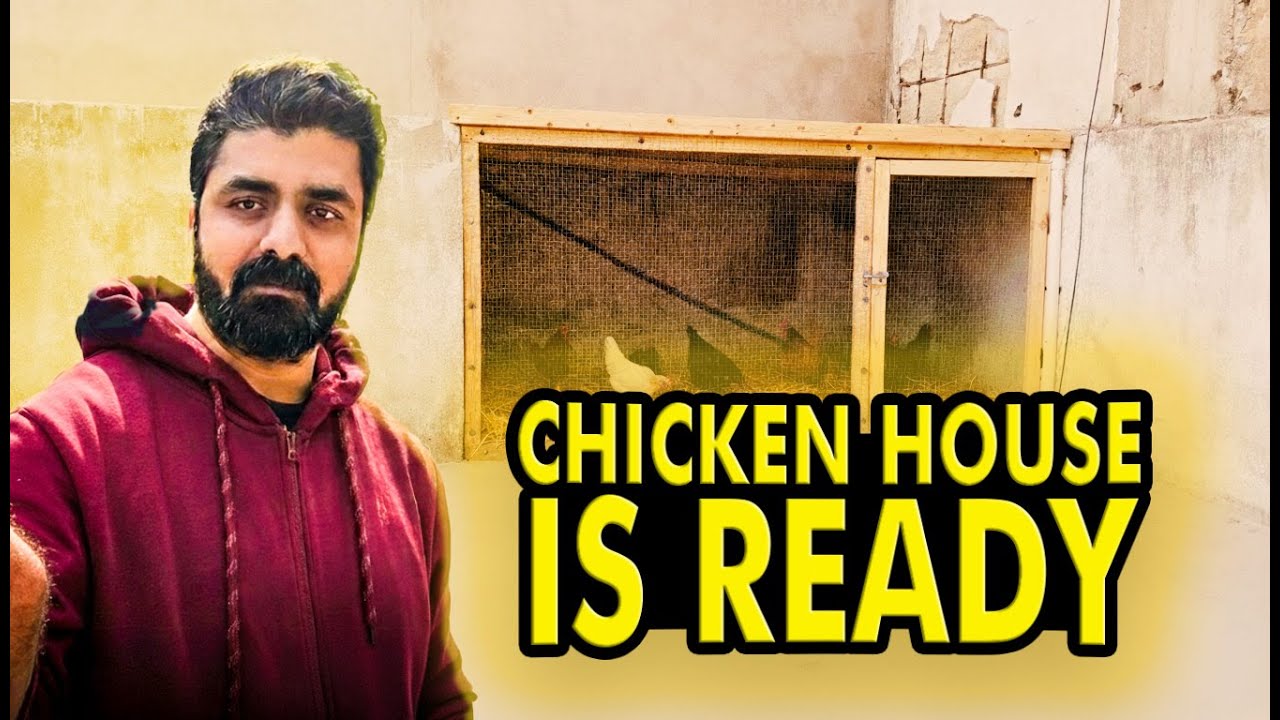 Chicken house is Ready 🐥 4th vlog