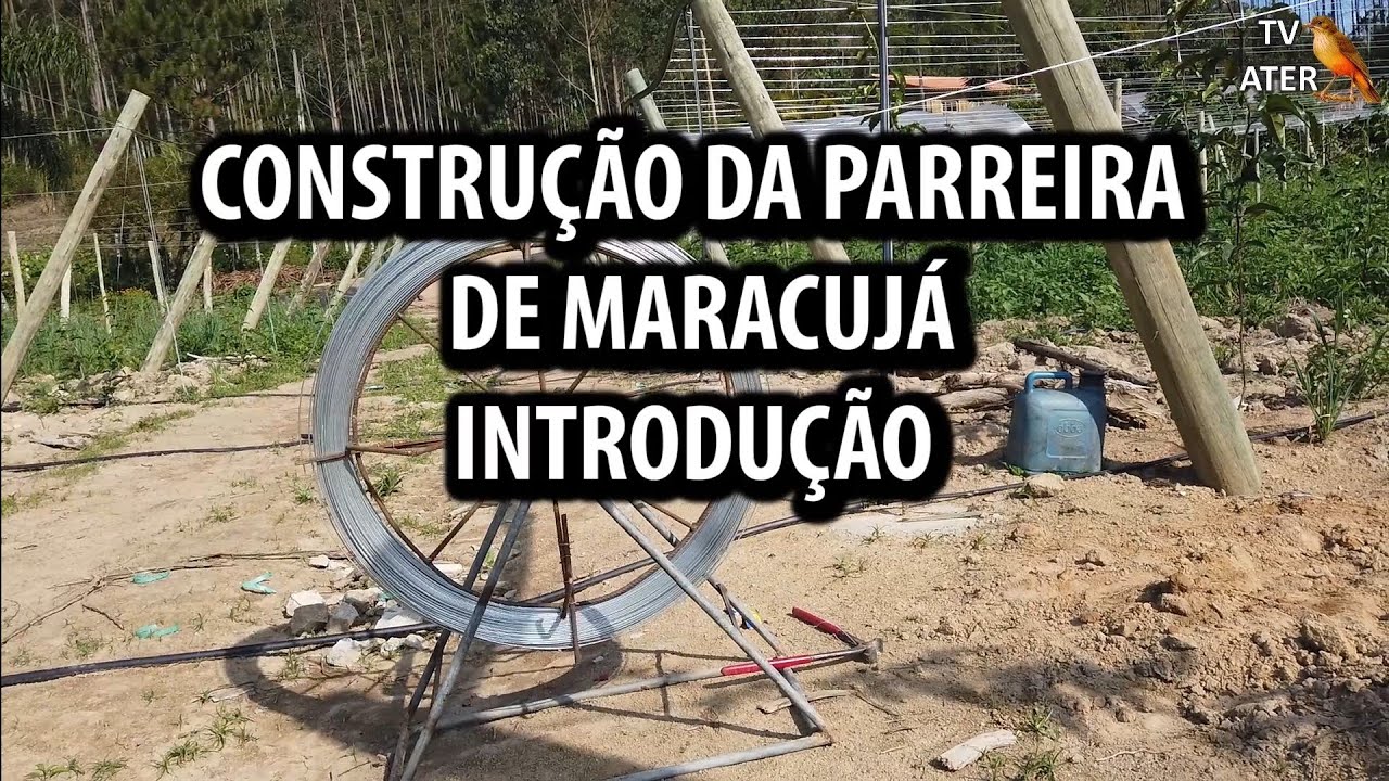 Construção da Parreira de Maracujá