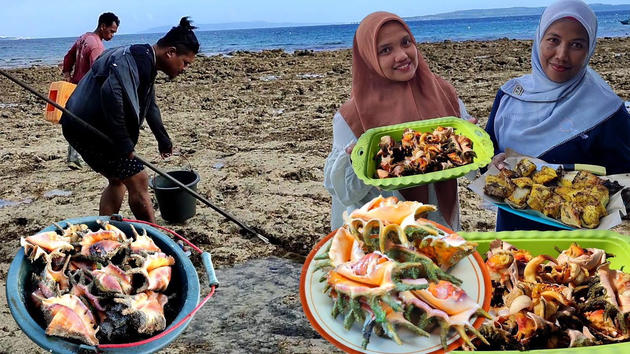 SURGANYA SIPUT & KERANG, Kami berburu buat makan di Pantai bersama Mahasiswa Perikanan UHO
