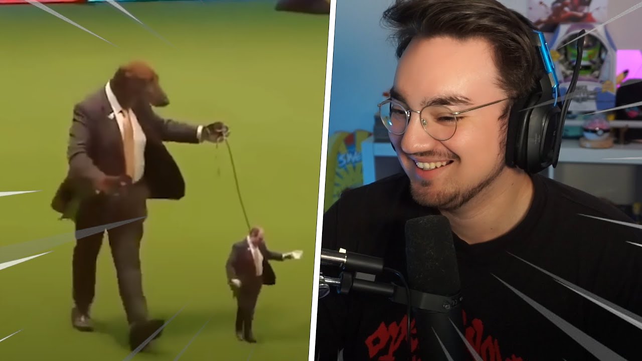 Bigpuffer Reacts to Unusual Memes That Are Actually Funny