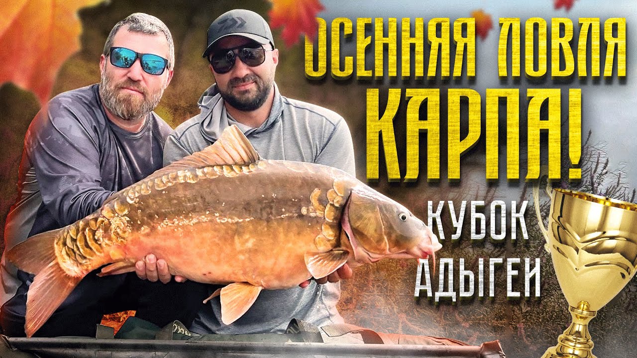 ЛОВЛЯ КАРПА ОСЕНЬЮ 2022!  Кубок Адыгеи!