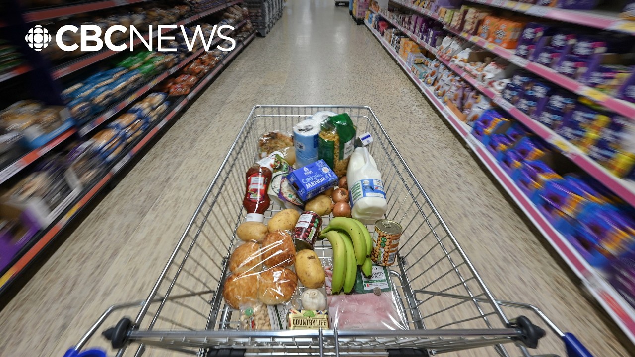 One-time GST rebate rolls out Friday as part of new grocery benefit