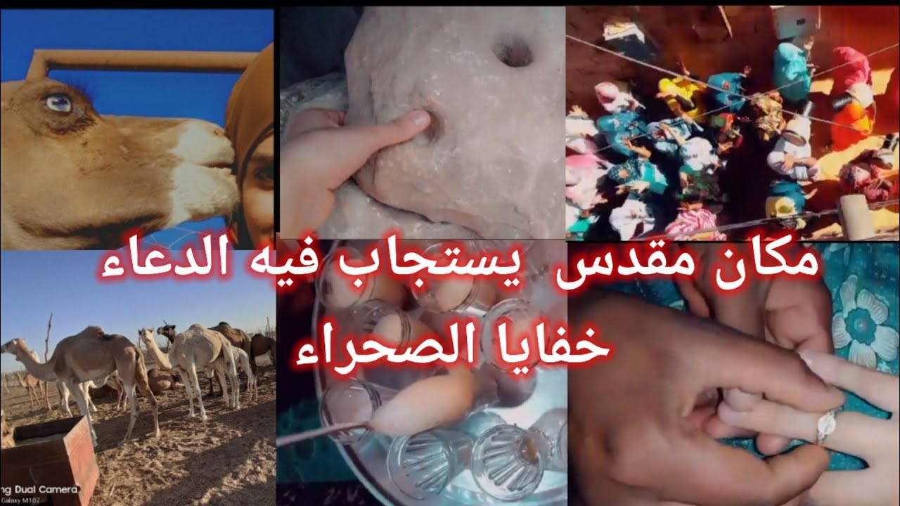 زيارة الى سالي ، قصر باحو ،القصبة مكان مقدس لاستجابة الدعاء  ، (ادرار) رحنا نشوفو لبعير عشينا في عرس