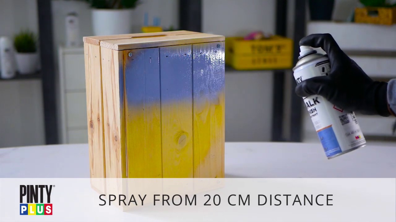 NEW Pintyplus Chalk Finish Spray Paint