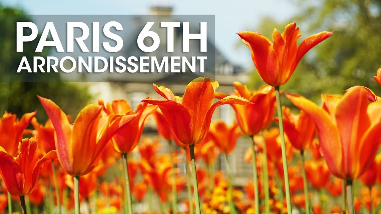 Paris 6th Arrondissement - 20 in 20 Paris Day 6 - Saint Germain des Pres and Jardin de Luxembourg 🌷