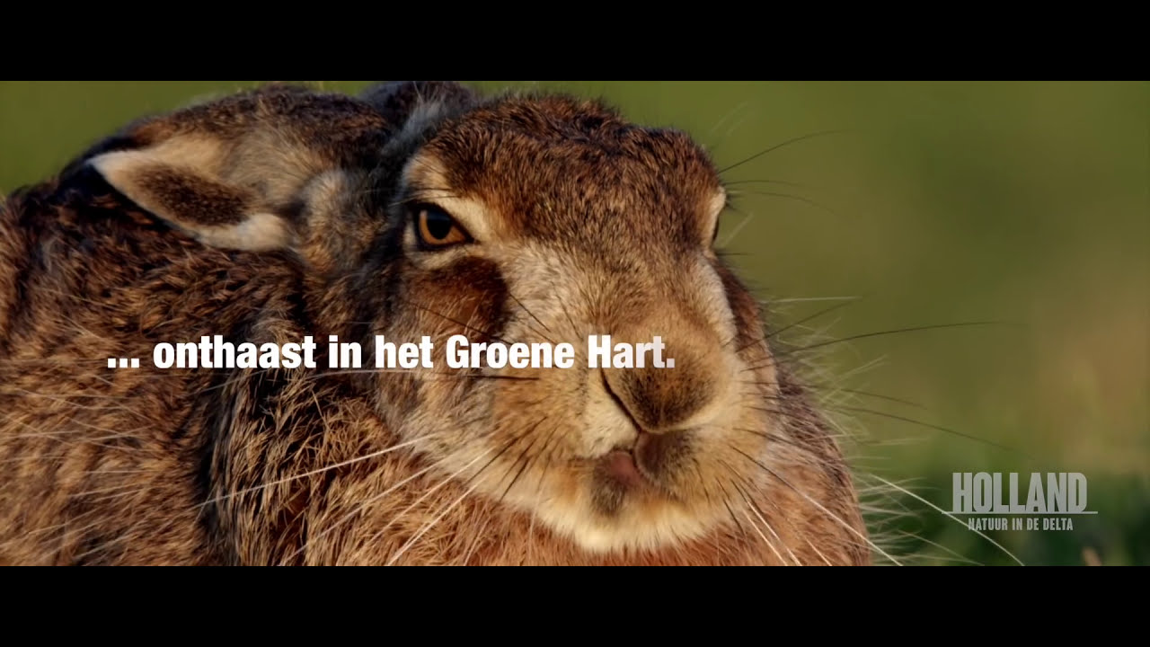 Sfeerimpressie Groene Hart zien, doen en beleven!