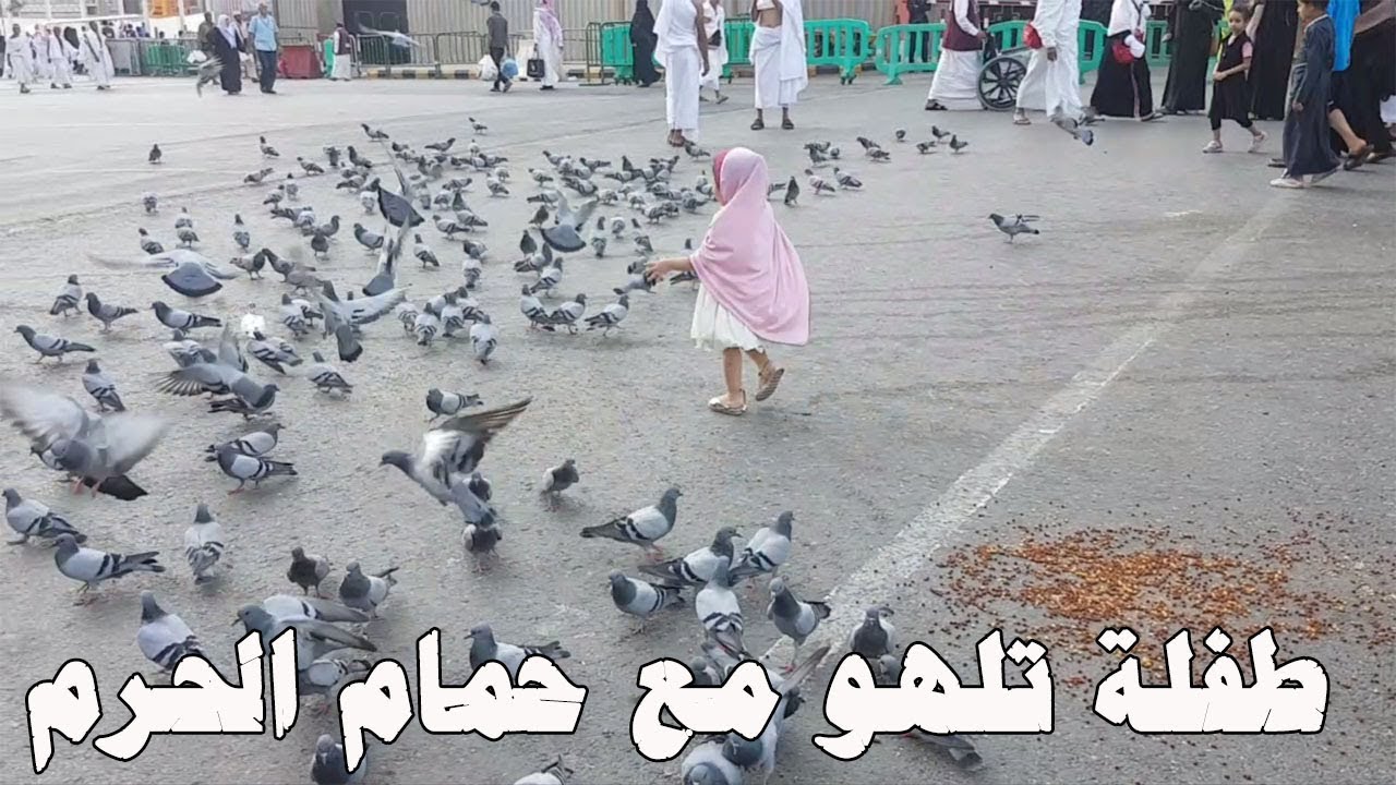 براءة الأطفال وحمام الحرم المكي الشريف رزقكم الله الزيارة قريبا
