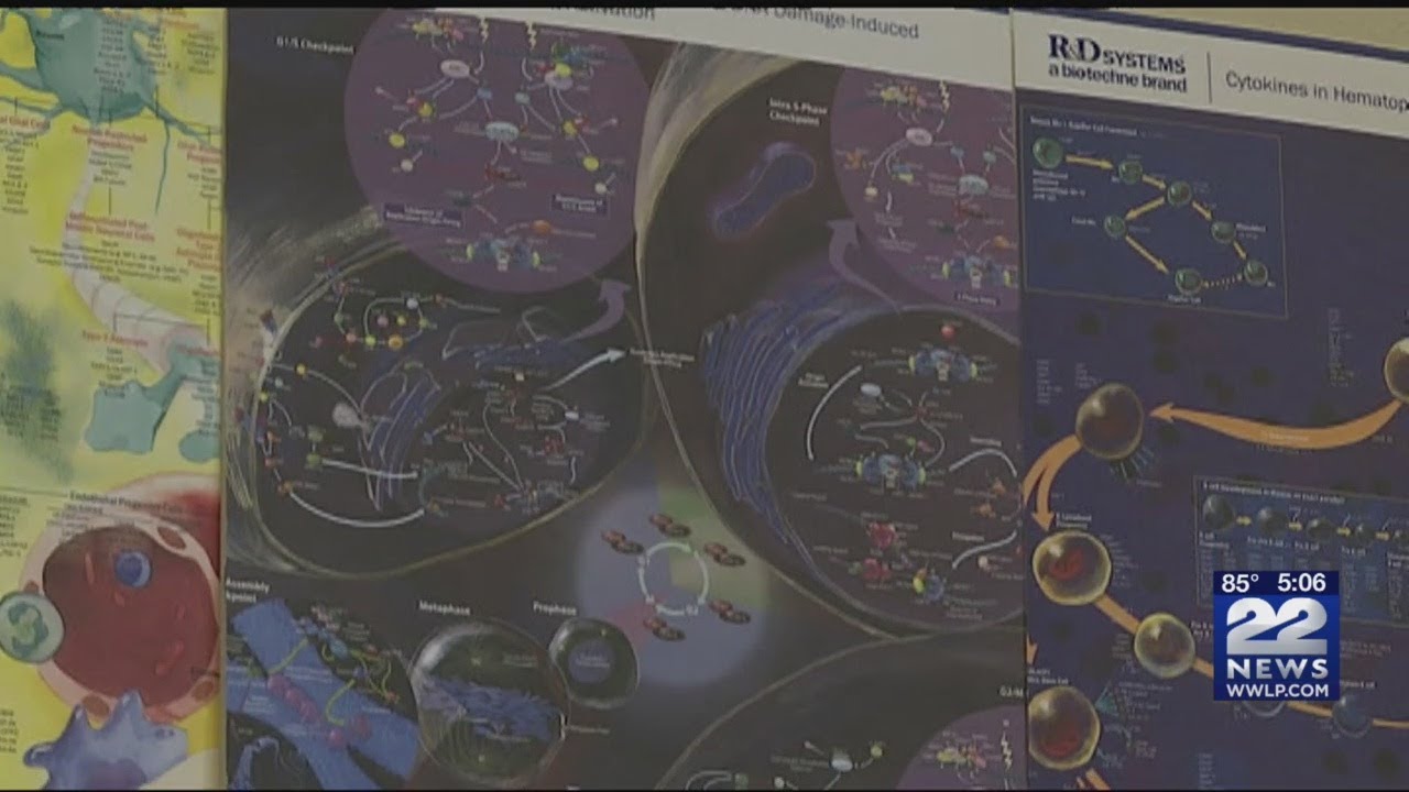Using DNA testing to determine future health risks