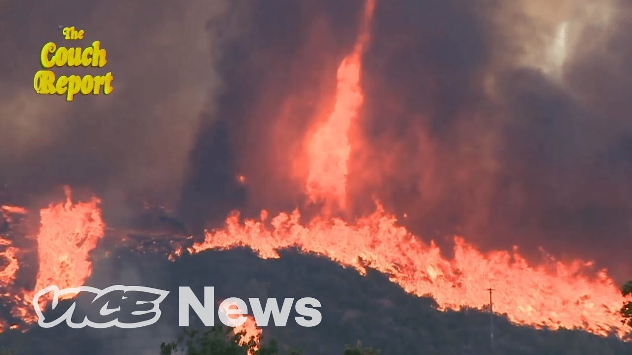 Earth’s On Fire and We’re Arguing About Cheeseburgers, So That’s Great | The Couch Report