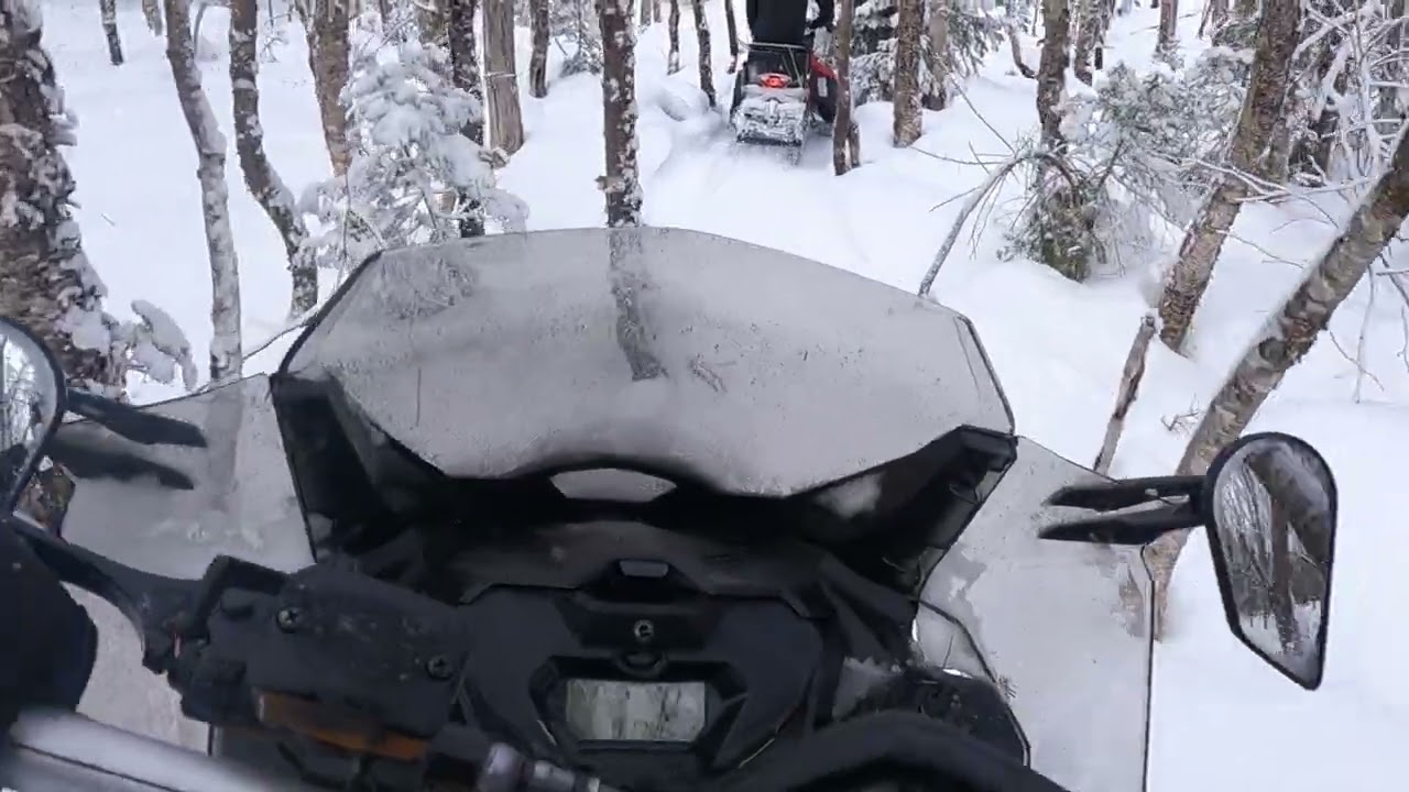 SKIDOO Trail érablière belvédère.