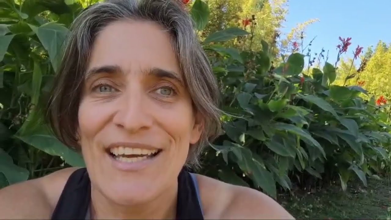 Meet the Organizers of Costa Rica International Intensive Training (IIT)