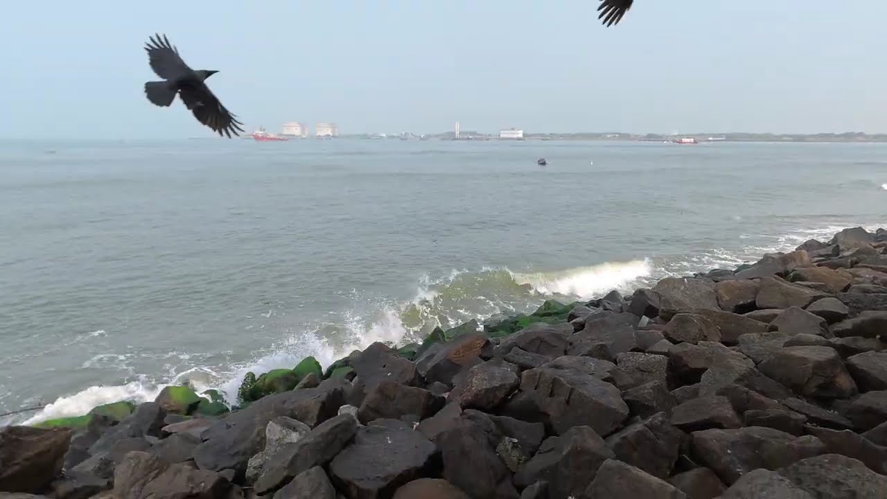 One day in Fort Kochi #travel #kochi2