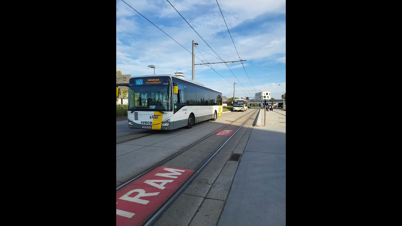 bussen in antwerpen