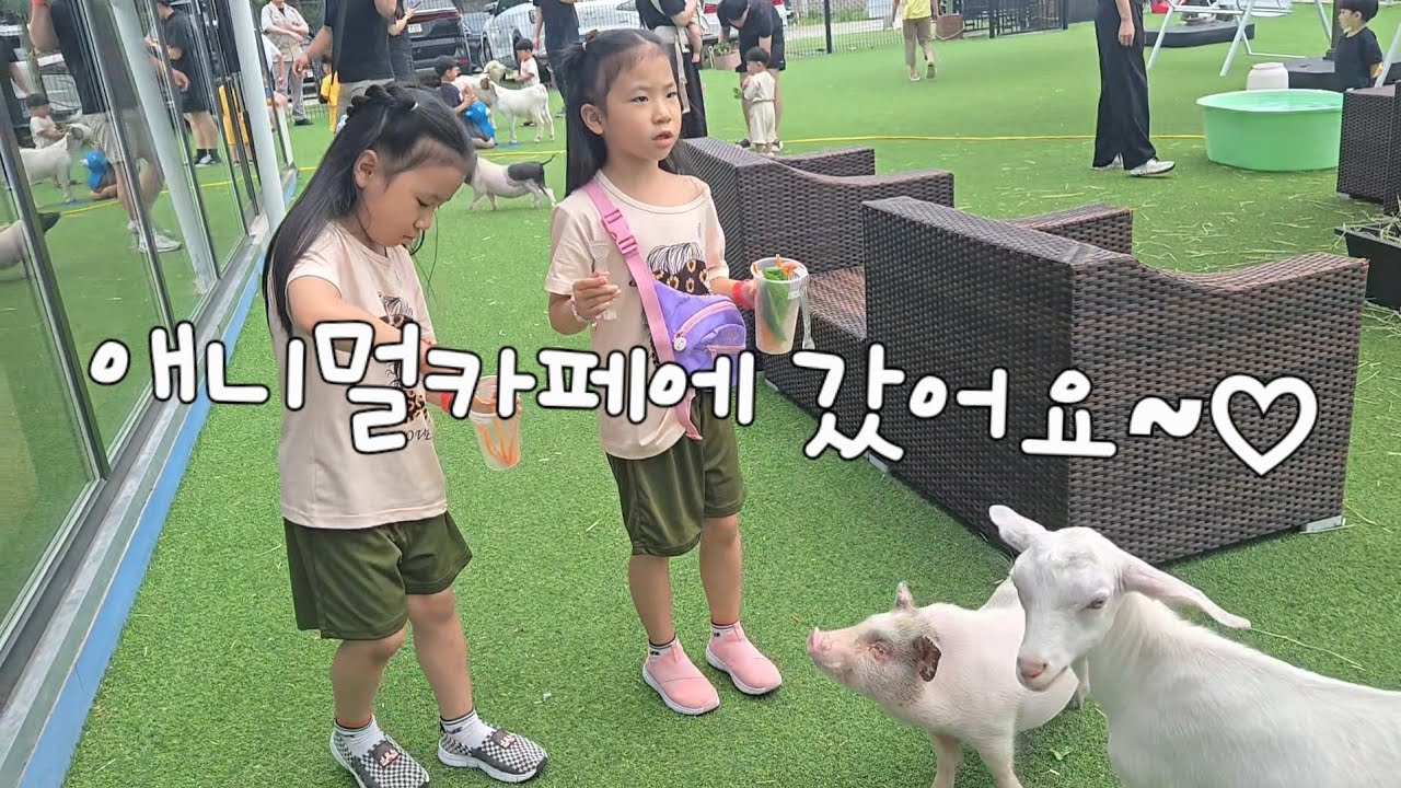 동물들과 가까이에서 힐링✨ 화성 하이애니멀 방문기