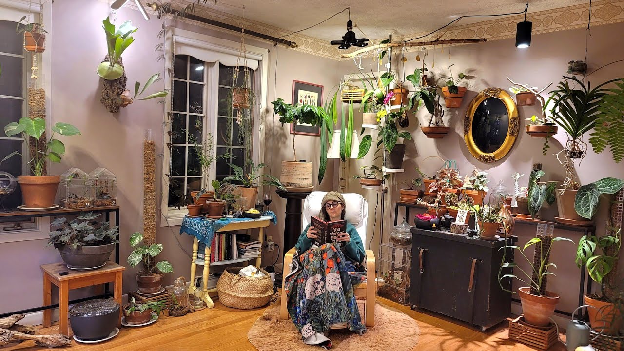 Winter plant room walk through: How my collection is doing in the middle of a cold Canadian winter 🍁