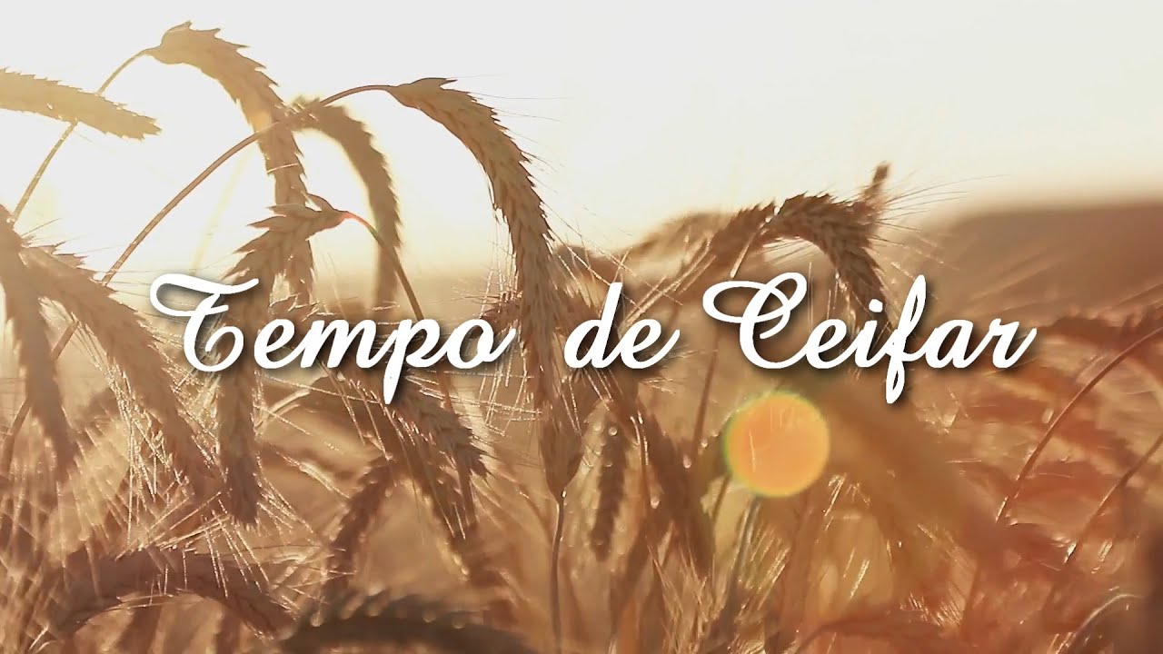 Tempo de Ceifar