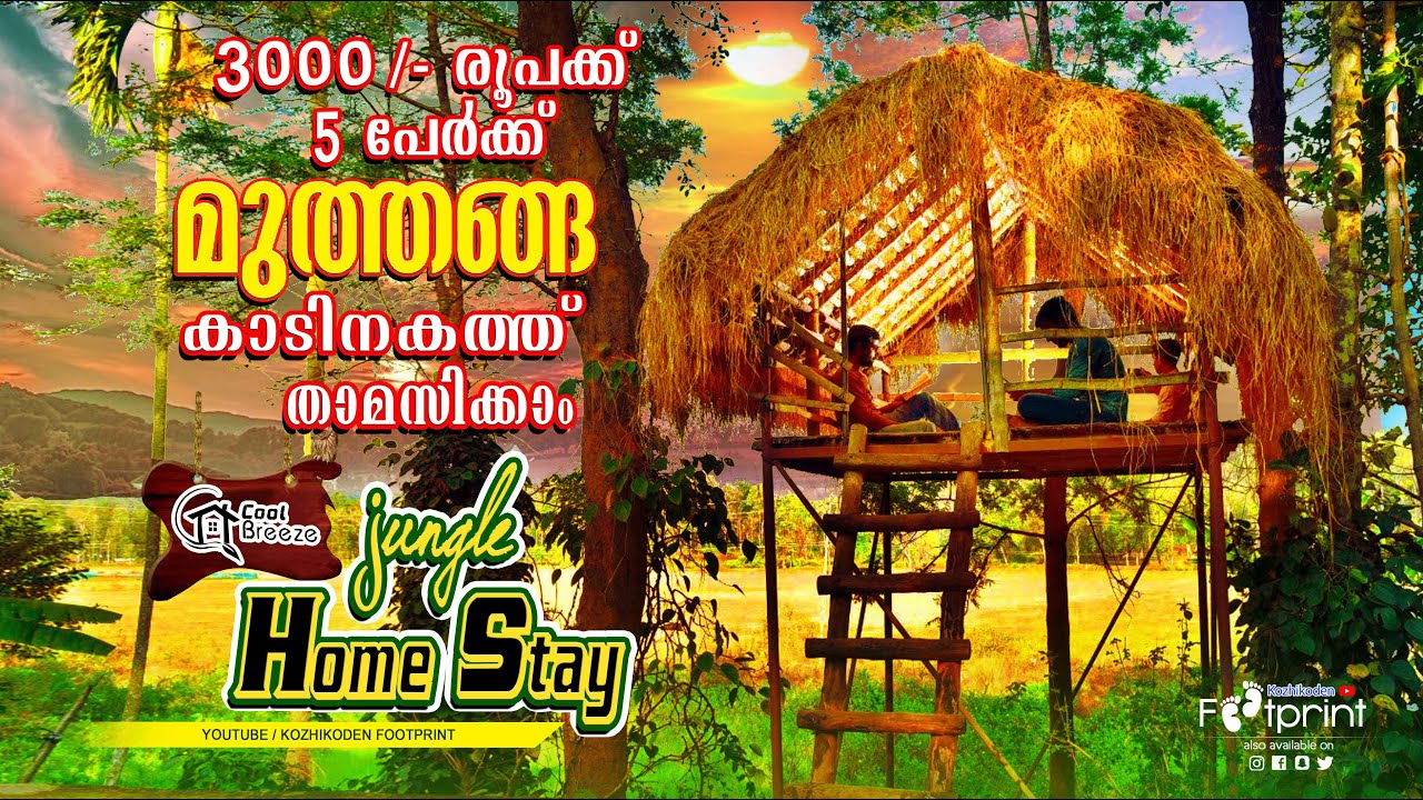 Muthanga Forest Jungle stay | മുത്തങ്ങ വനത്തിൽ ഏറ്റവും കുറഞ്ഞ നിരക്കിൽ വന്യമൃഗങ്ങളെ കണ്ടു താമസിക്കാം