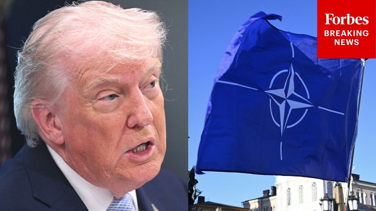 &laquo;Нам это не помогло&raquo;: Трамп продолжает критиковать НАТО как &laquo;бумажного тигра&raquo; на фоне войны с Ира...