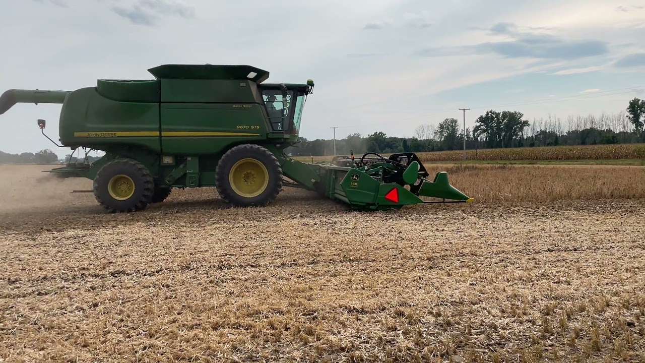 Harvesting Black Gold! | Black Beans 2021
