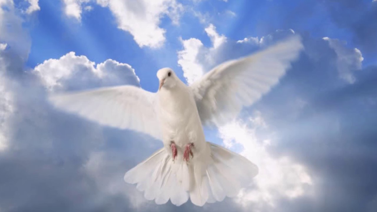 Come down, O Love divine