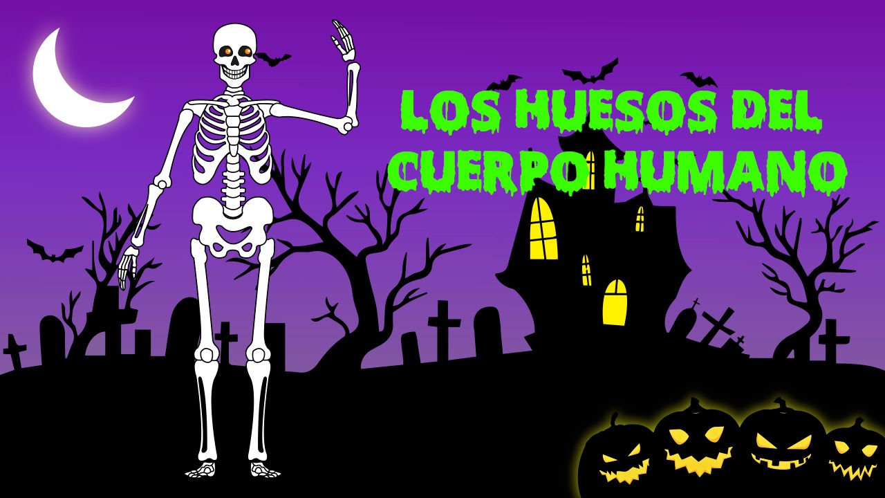 HUESOS DEL CUERPO HUMANO en español - Vídeos educativos para niños