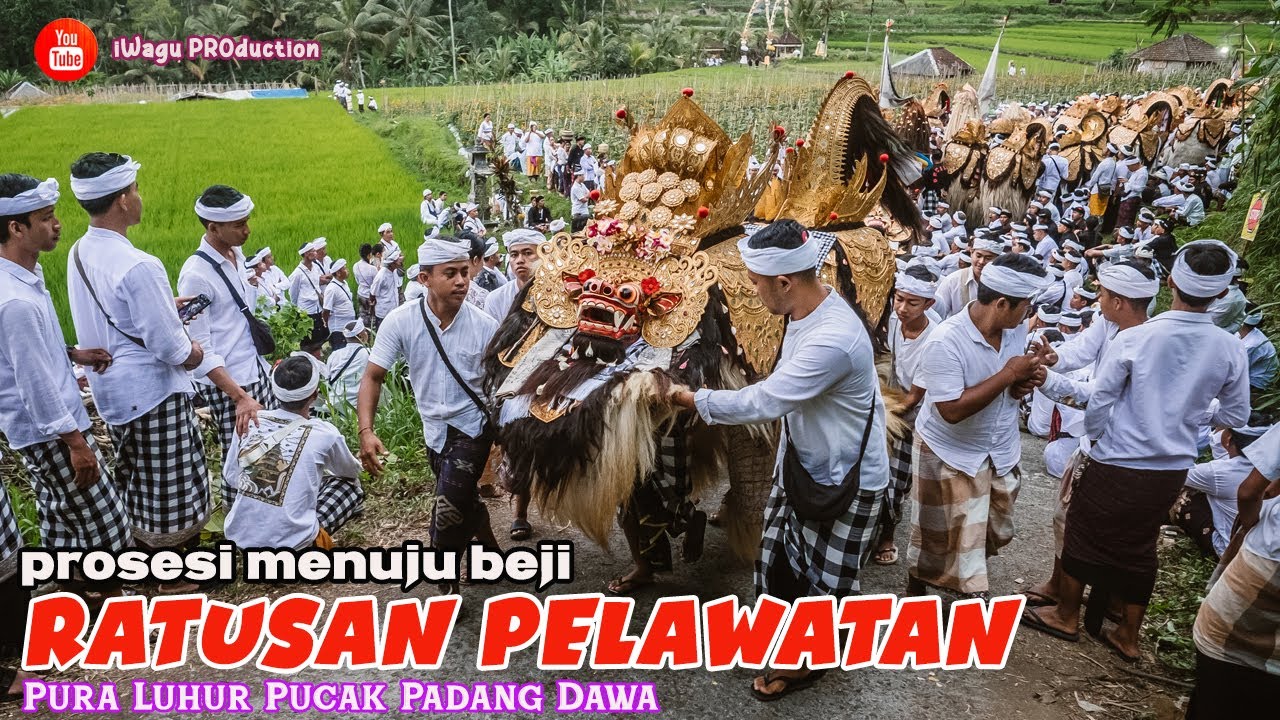 Ratusan Pelawatan Barong, Rangda & Lainnya | Prosesi Ke Beji Mesucian - Pura Luhur Pucak Padang Dawa