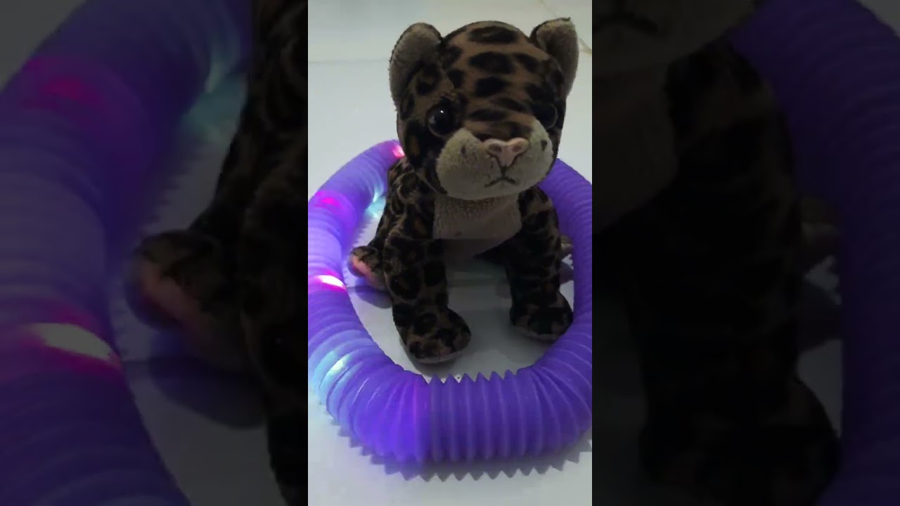 mainan boneka cheetah #shorts #shortvideo #videos #toys