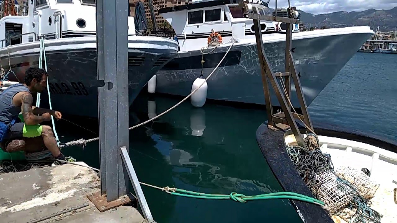 Puerto pesquero  Fuengirola