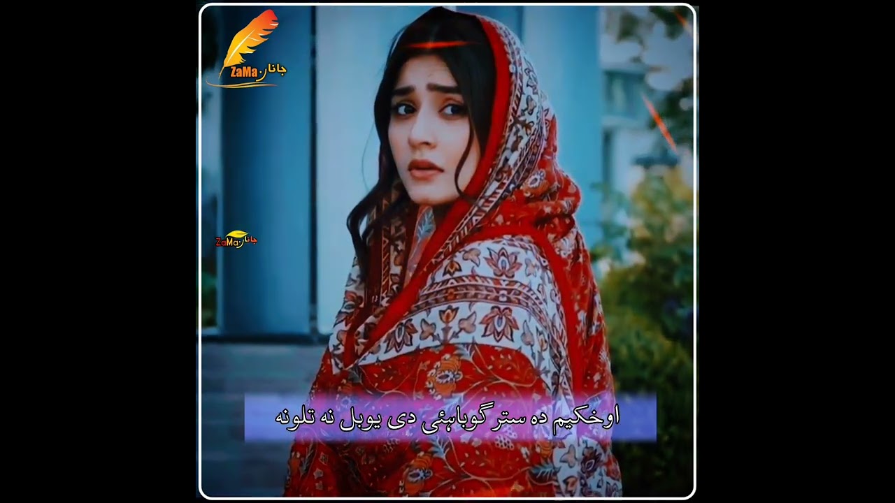 Pashto new tapy 2023/Pashto sad tapy💔#pashtotapy #pashtosong #viraltapy