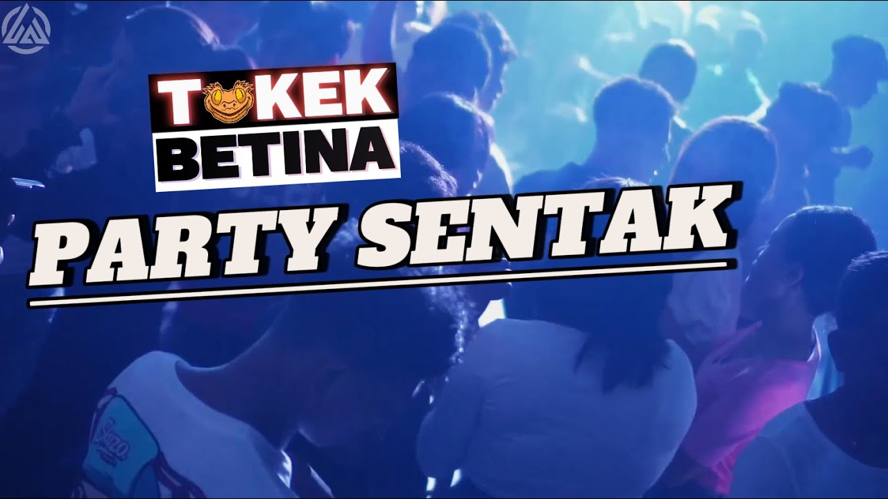 TOKEK_BETINA🔥PARTY SENTAK!!-[ZKETER-REMIX]-2025
