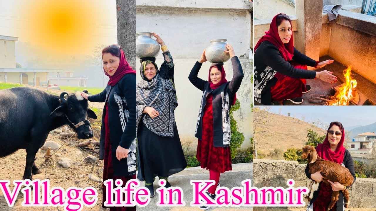 A Visit In Beautiful Khuiratta AJK Kashmir || Simple Village Life In Khuiratta AJK Kashmir