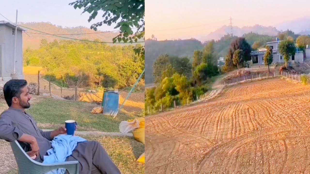 Preparation for wheat crops 🌾 | Village Life