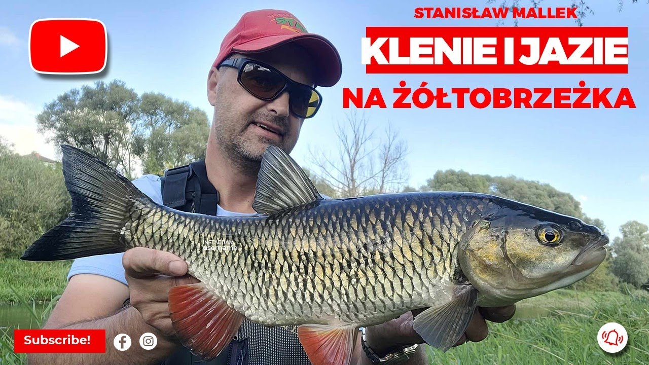 Klenie na spinning i żółtobrzeżka / Fantastyczny dzień na rybach.