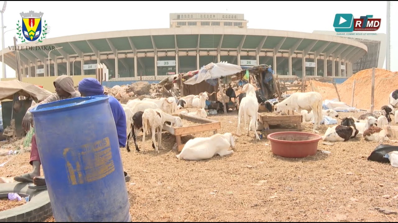 Remis à neuf, le Stade Léopold Sédar Senghor souffre de ses occupants irréguliers