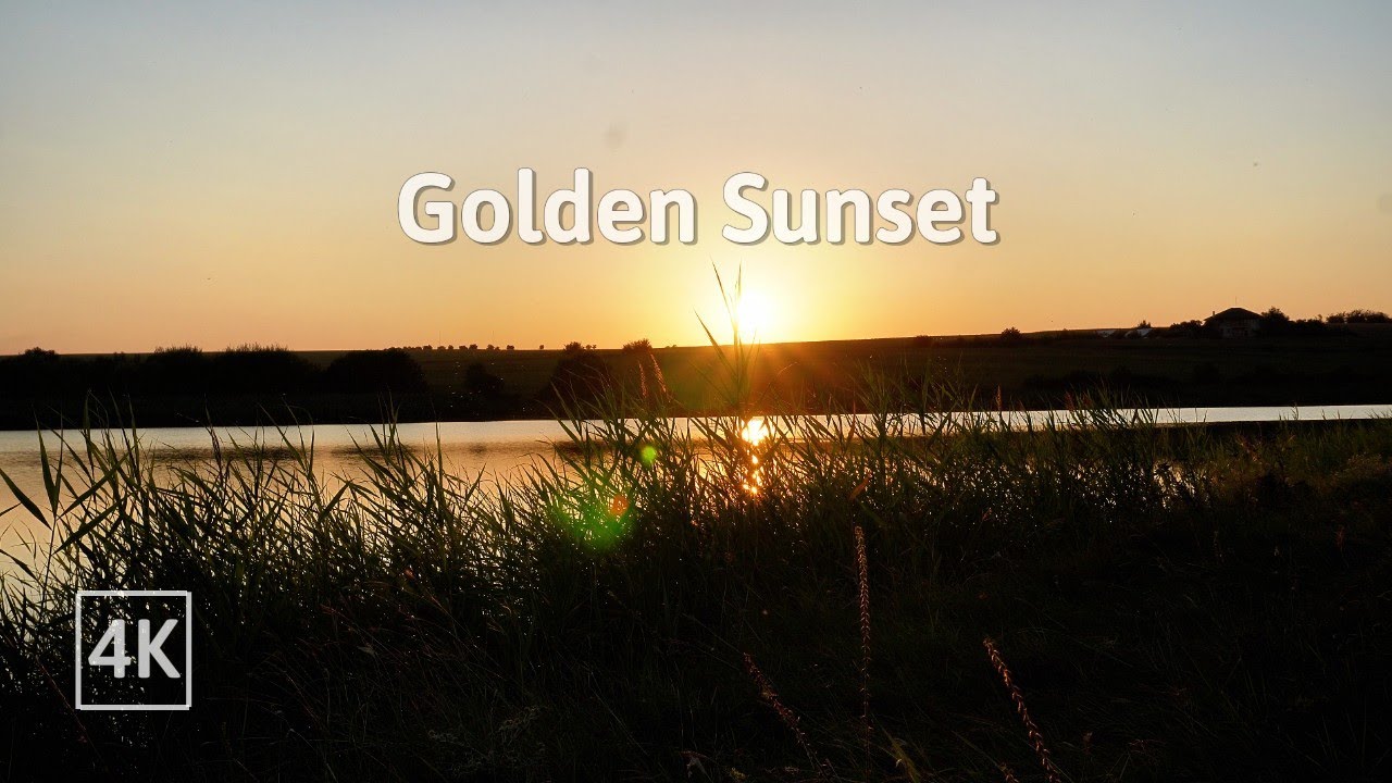 Peaceful Golden Hour at the Lake 🌅 | Relaxing Nature Sounds for Sleep & Calm