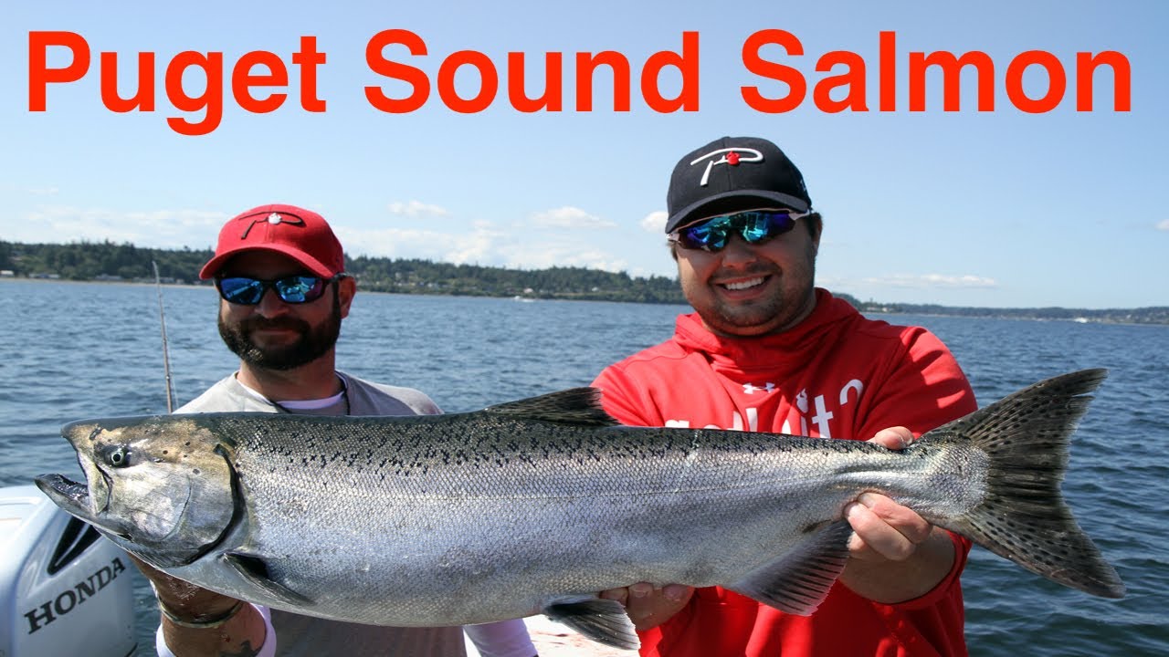 Seattle Salmon Fishing