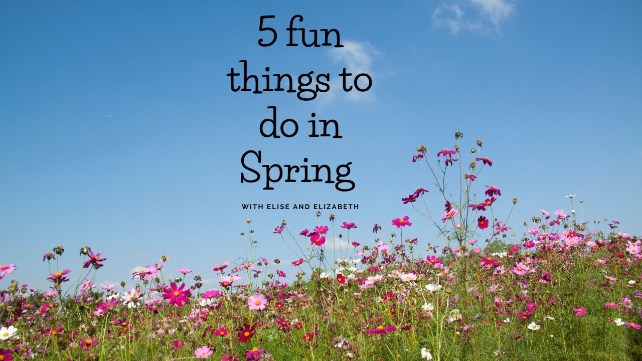 5 fun things to do in Spring
