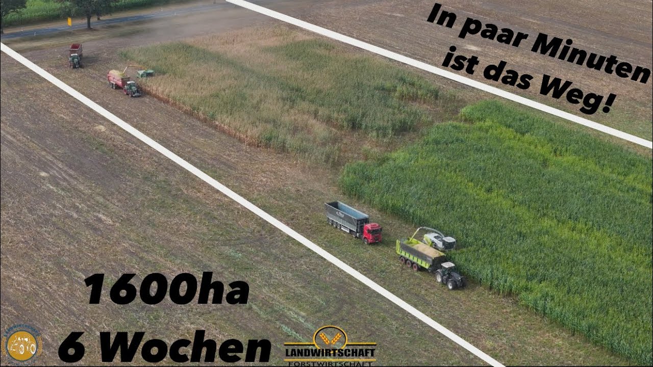 In paar Minuten ist das Weg! 1600ha - 6 Wochen Landwirtschaftlicher Lohnauftrag Maish&auml;ckseln 2024