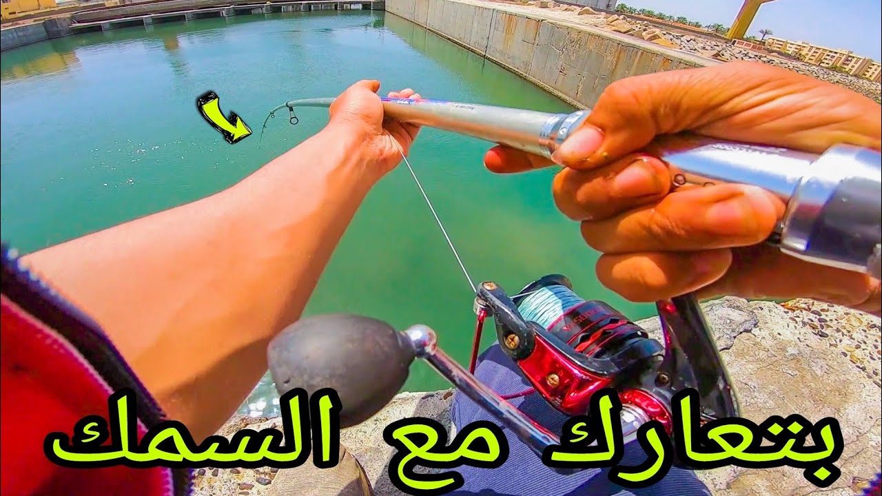 حوض مهجور اكتر من 10 سنين واكتشفت انه مليان سمك