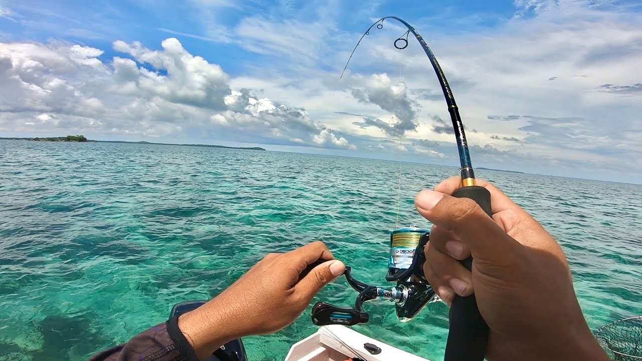 CASTJIG KARANG DANGKAL !! TES REEL TERBARU DAIDO THALASSA LANGSUNG AMIS, MANCING DAN MASAK DI PULAU